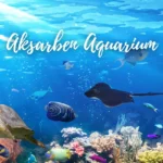 Aksarben-Aquarium_Desktop_NE