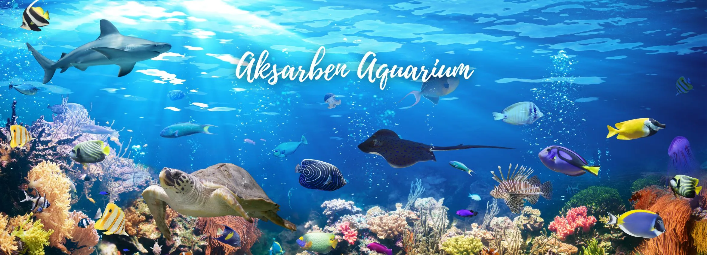 Aksarben-Aquarium_Desktop_NE