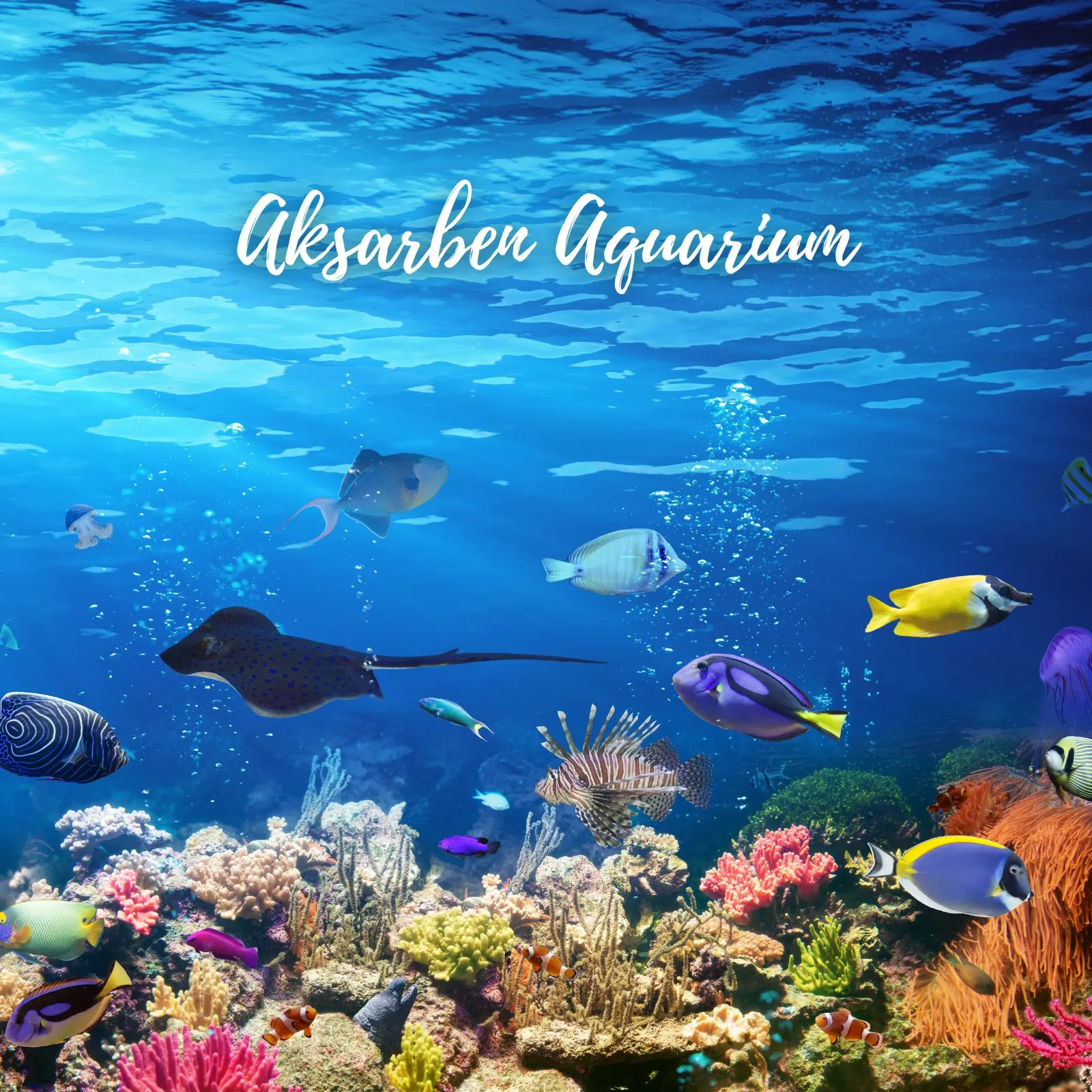 Aksarben-Aquarium_Mobile_NE