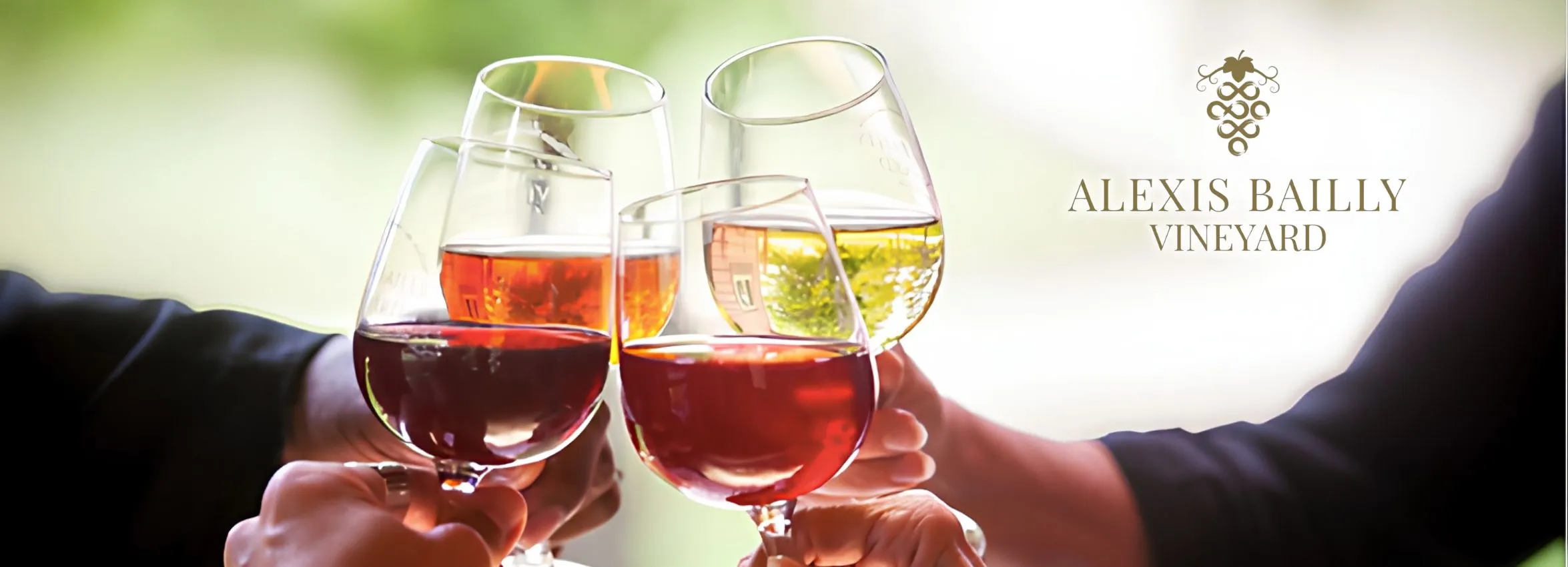 Alexis-Bailly-Vineyard_Desktop_NE