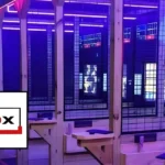 Axe-in-the-Box_Desktop_NE