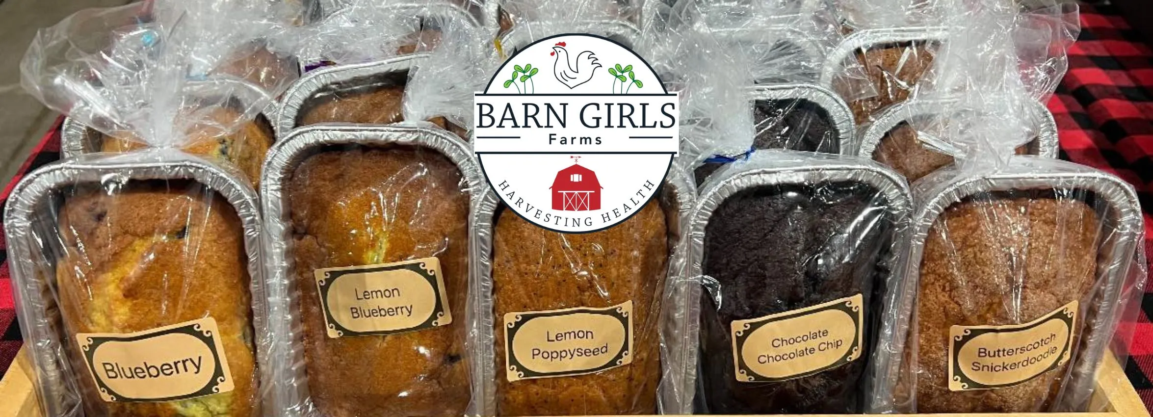 Barn-Girls-Farms_Desktop_NE