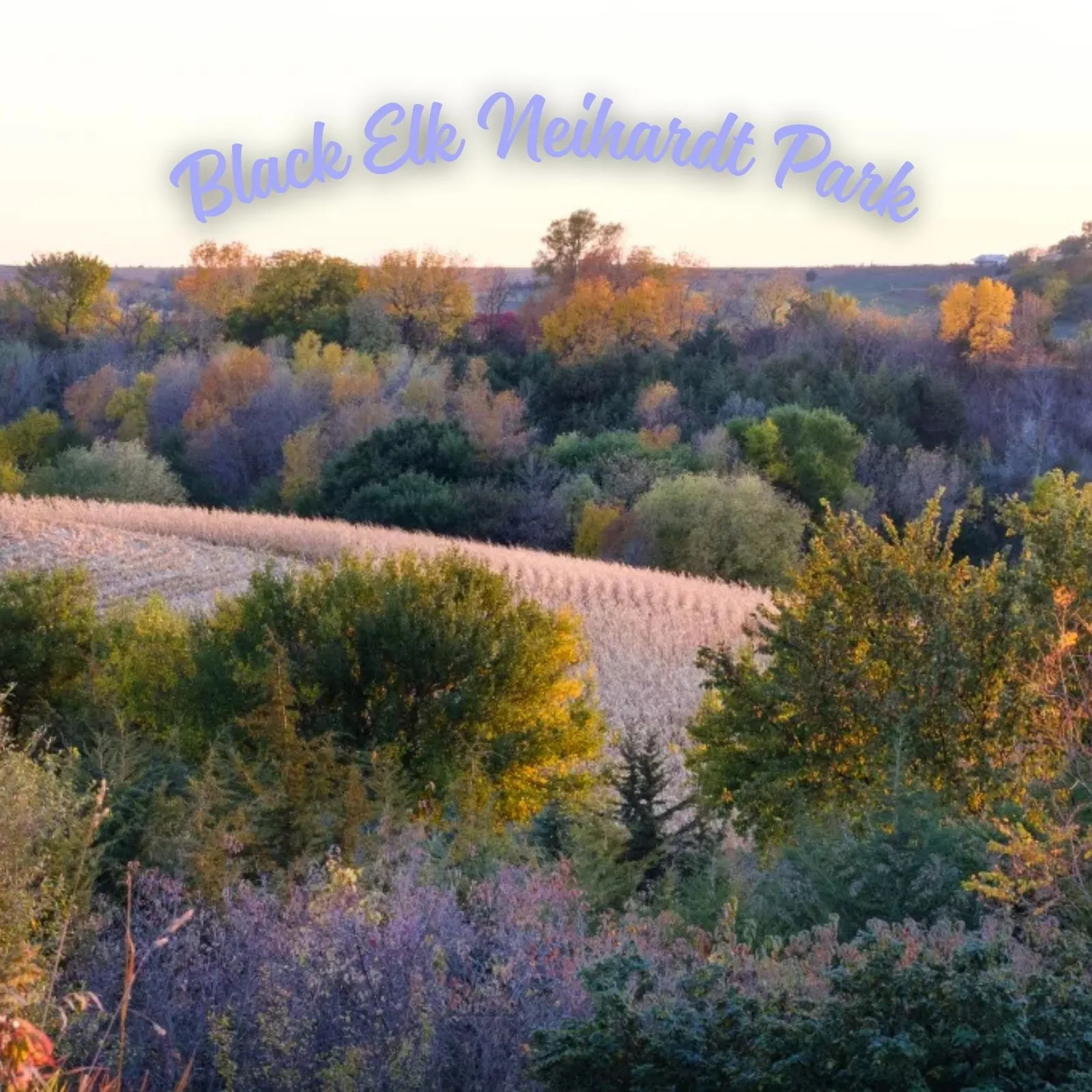 Black-Elk-Neihardt-Park_Mobile_NE