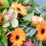 Blossom-Khardt_Desktop_ET