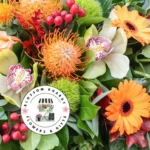 Blossom-Khardt_Mobile_ET