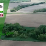 Chris-Nelson-CS-Nelson-RE_Desktop_NE