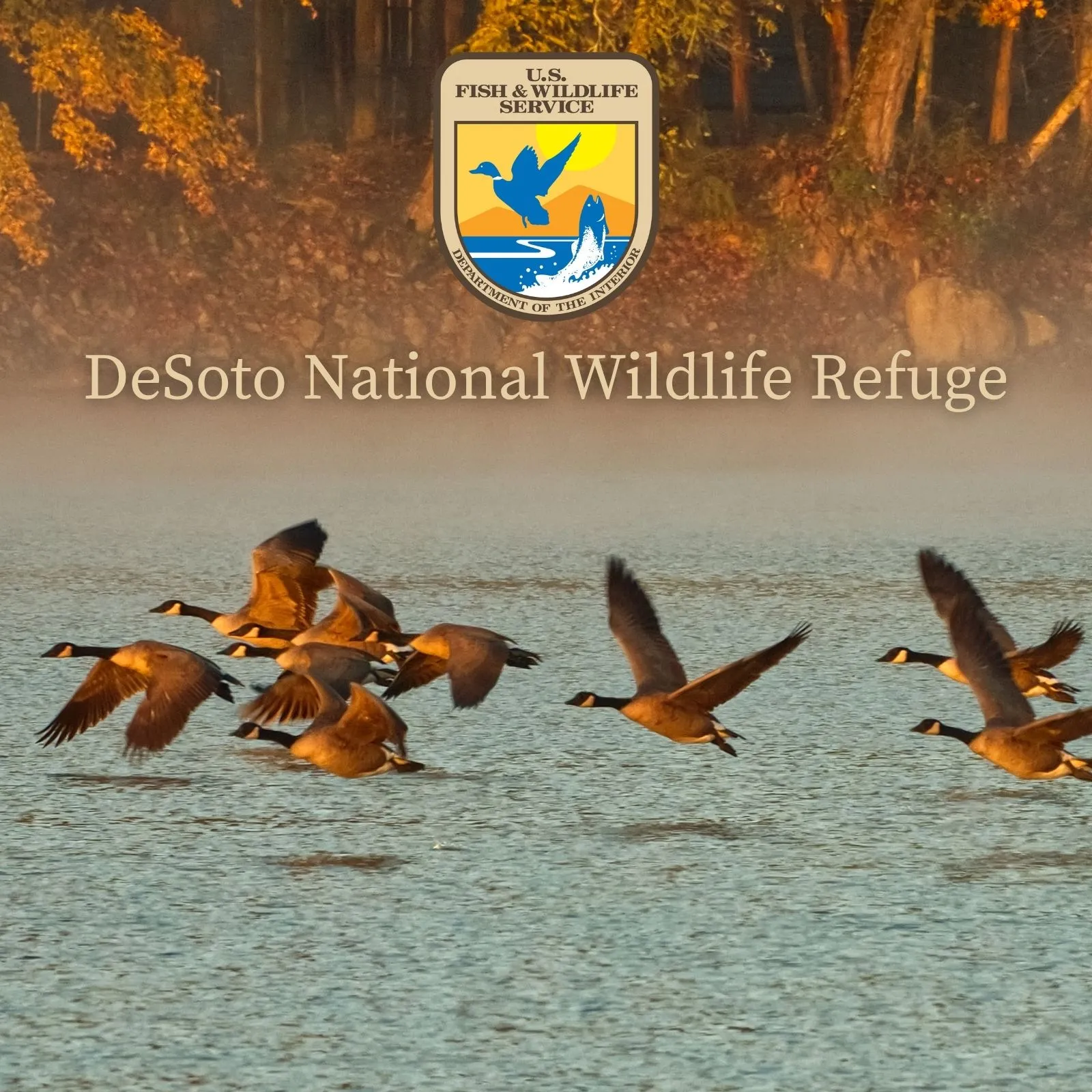 DeSoto-National-Wildlife-Refuge_Mobile_NE