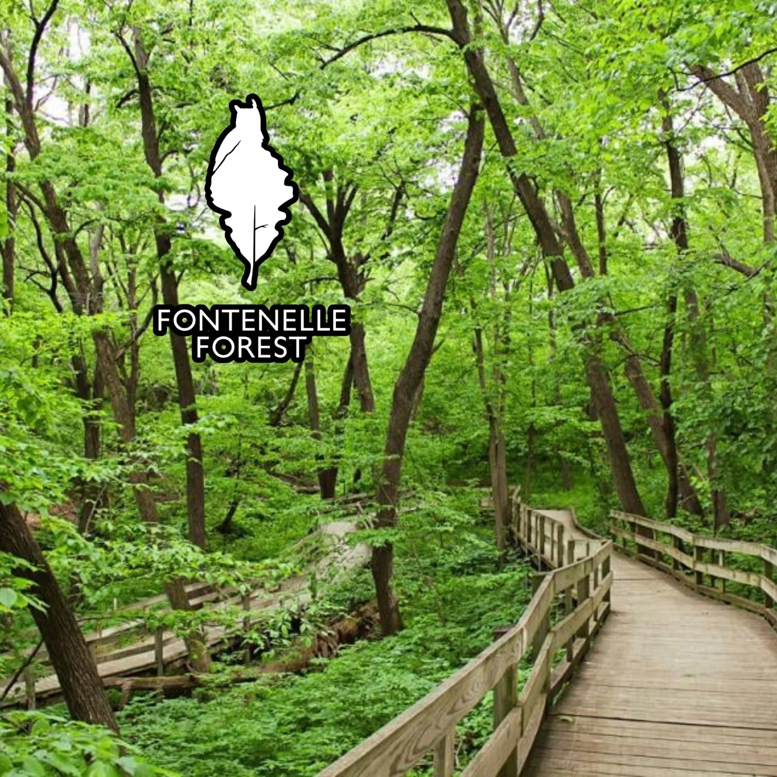 Fontenelle-Forest_Mobile_NE