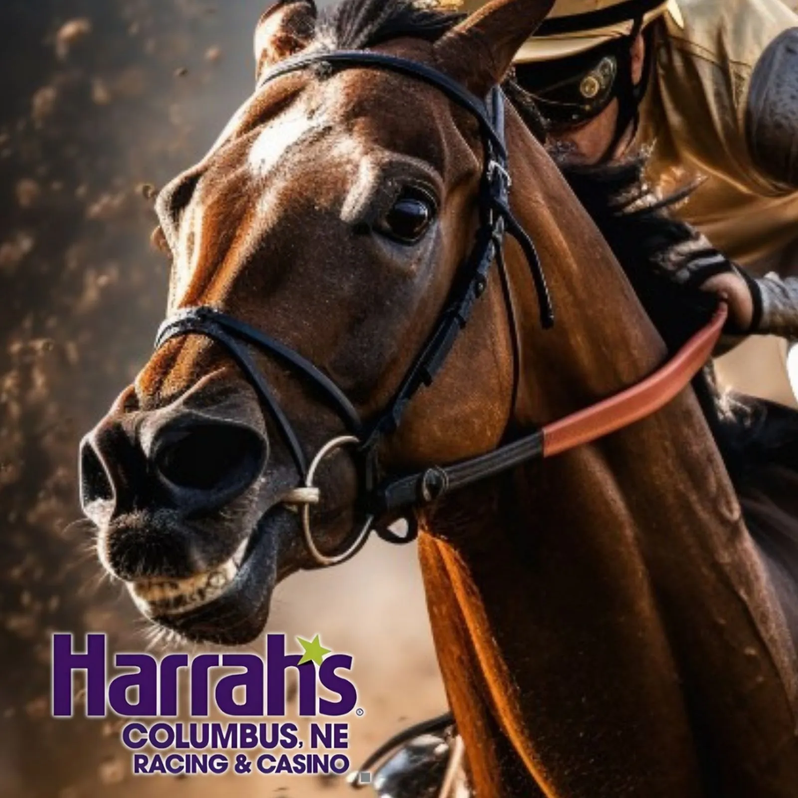 Harrahs-Columbus-NE-Racing-and-Casino_Mobile_NE