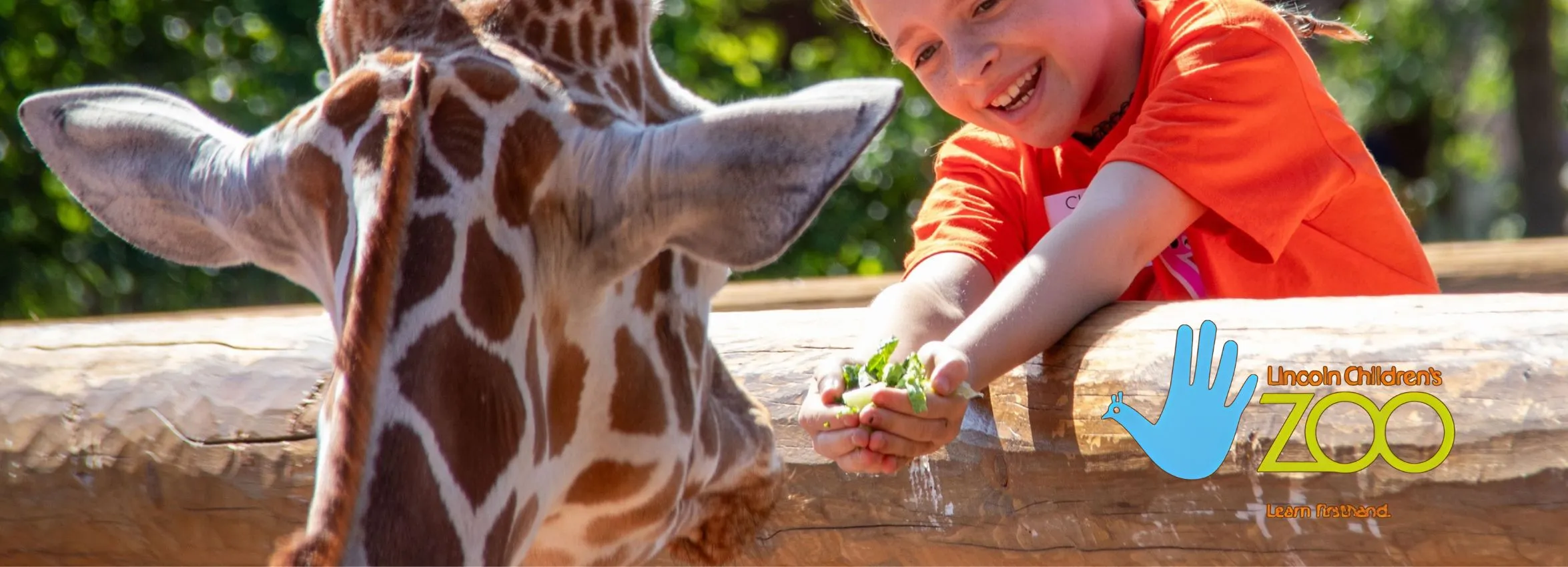 Lincoln-Childrens-Zoo_Desktop_NE