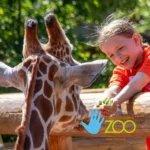 Lincoln-Childrens-Zoo_Mobile_NE
