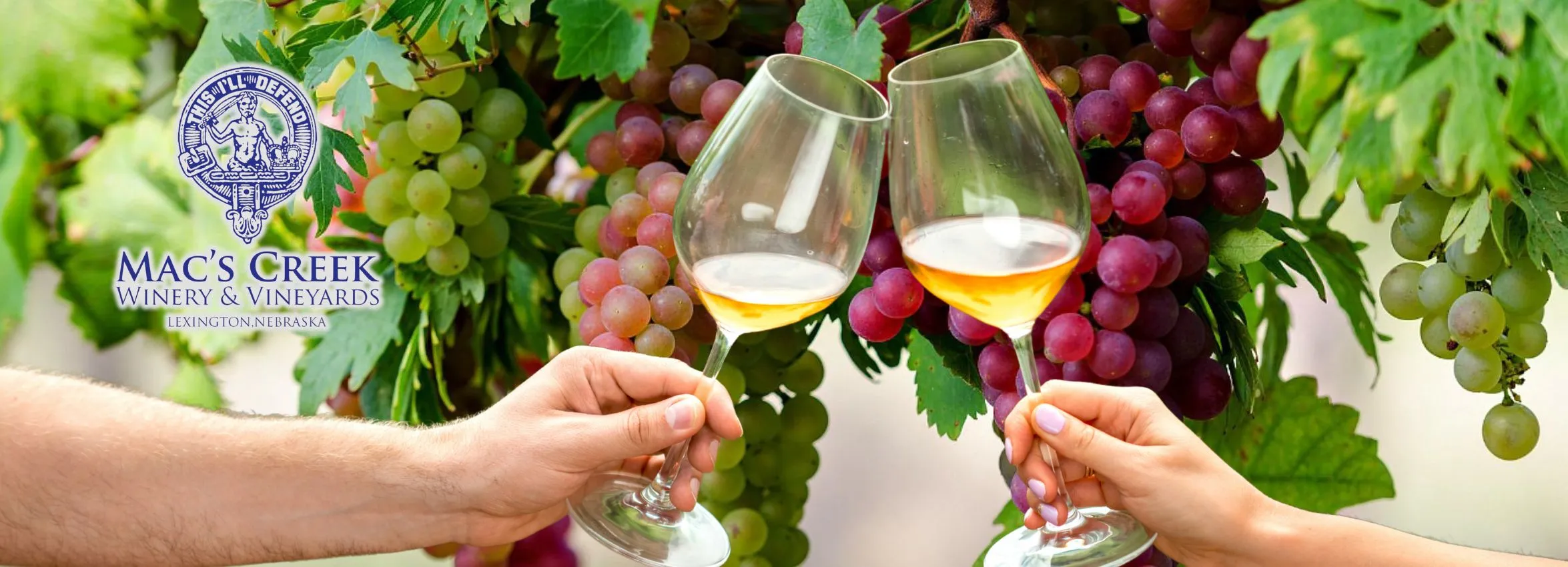 Macs-Creek-Winery-and-Brewery_Desktop_NE
