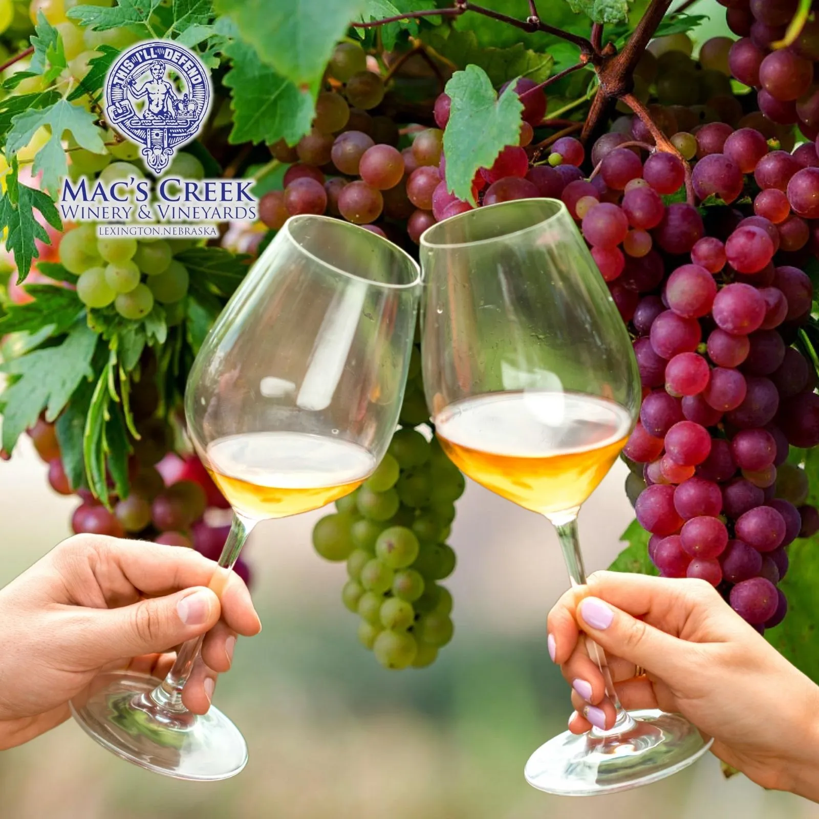 Macs-Creek-Winery-and-Brewery_Mobile_NE