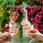 Moonlight-Ridge-Vinyard_Mobile_ET