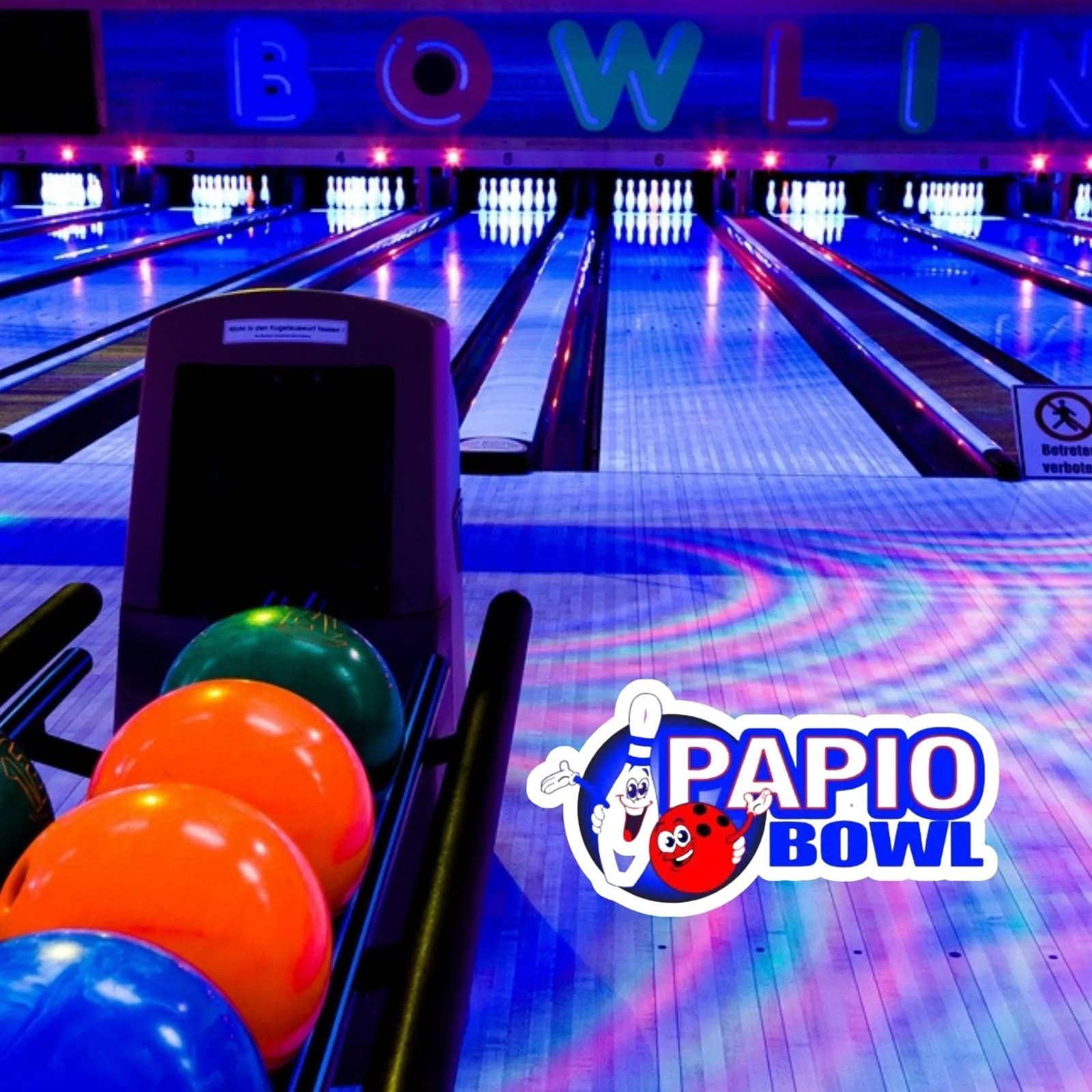 Papio-Bowl_Mobile_NE