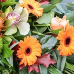 Purple-Orchid-Flowers_Desktop_NE