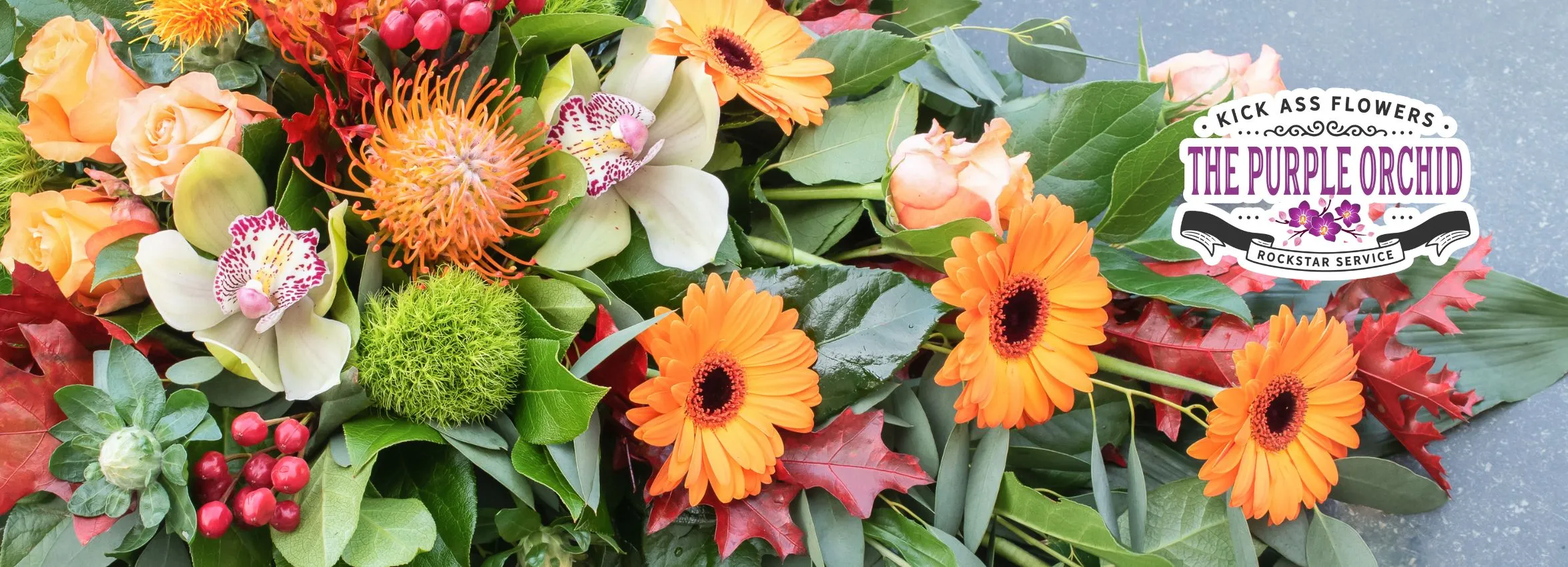 Purple-Orchid-Flowers_Desktop_NE