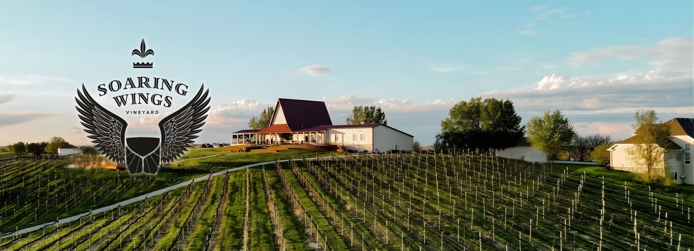 Soaring-Wings-Vineyard_Desktop_NE