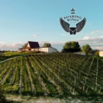Soaring-Wings-Vineyard_Mobile_NE