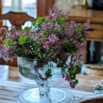 The-Roost-Bed-and-Breakfast_Desktop_NE