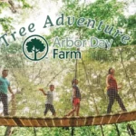 Tree-Adventures_Desktop_NE