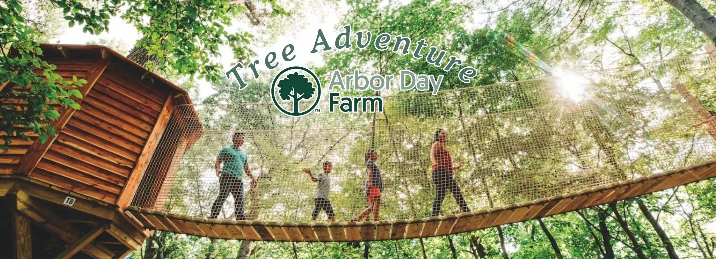 Tree-Adventures_Desktop_NE