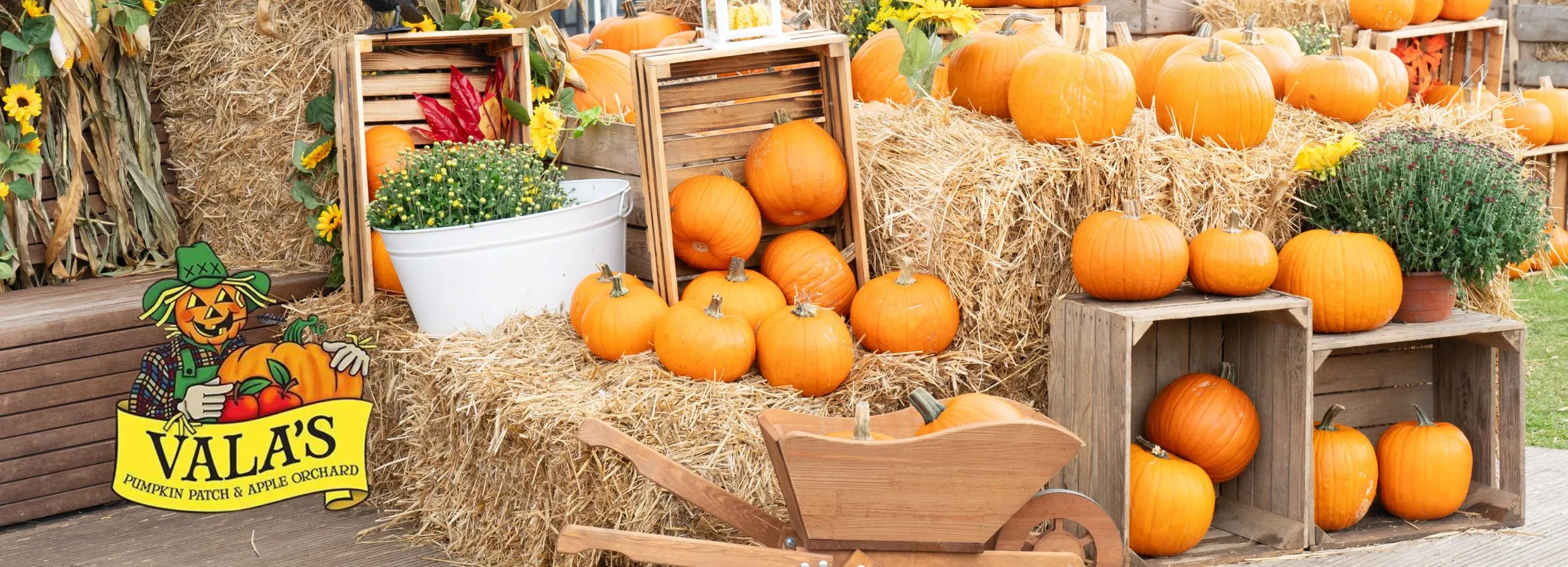 Valas-Pumpkin-Patch_Desktop_NE