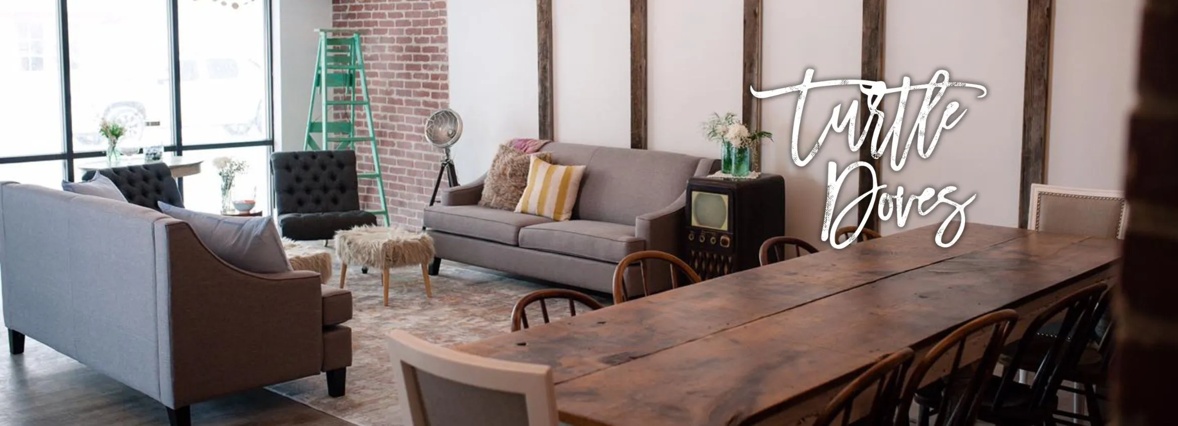 turtle-Dove_Desktop_NE