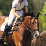 Regg-and-Wally-Tack-and-Saddle_Desktop_NE-