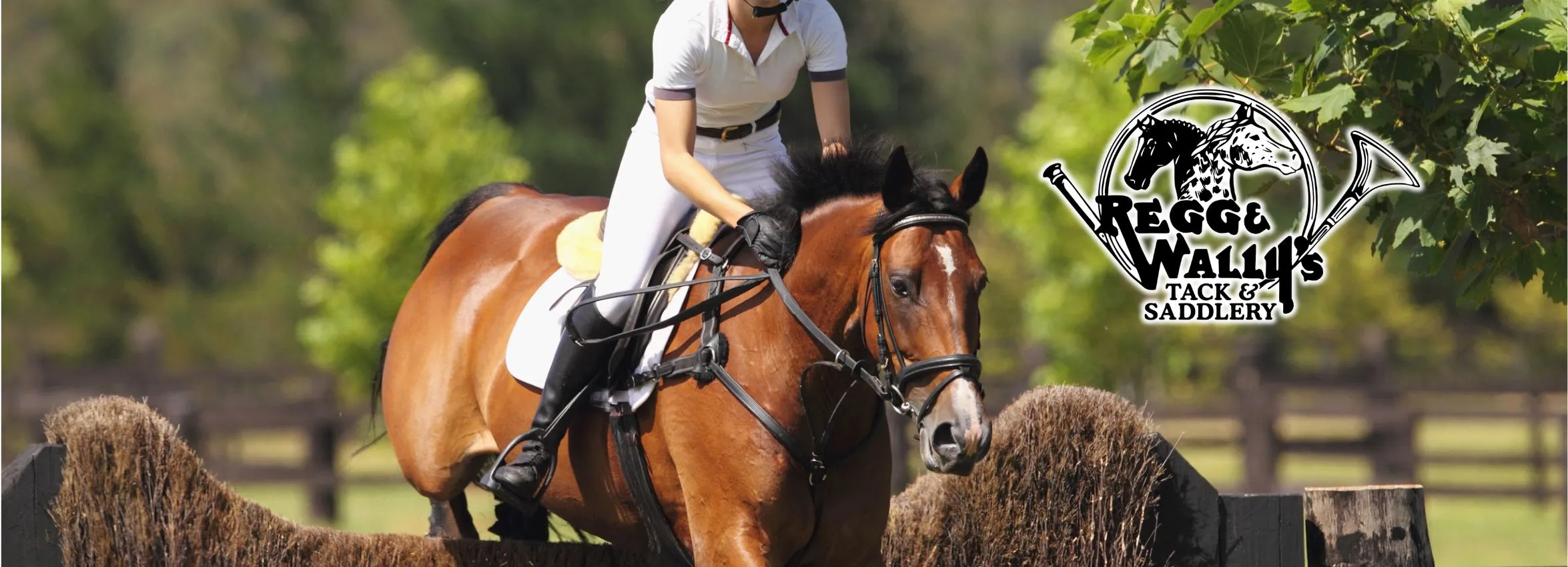 Regg-and-Wally-Tack-and-Saddle_Desktop_NE-